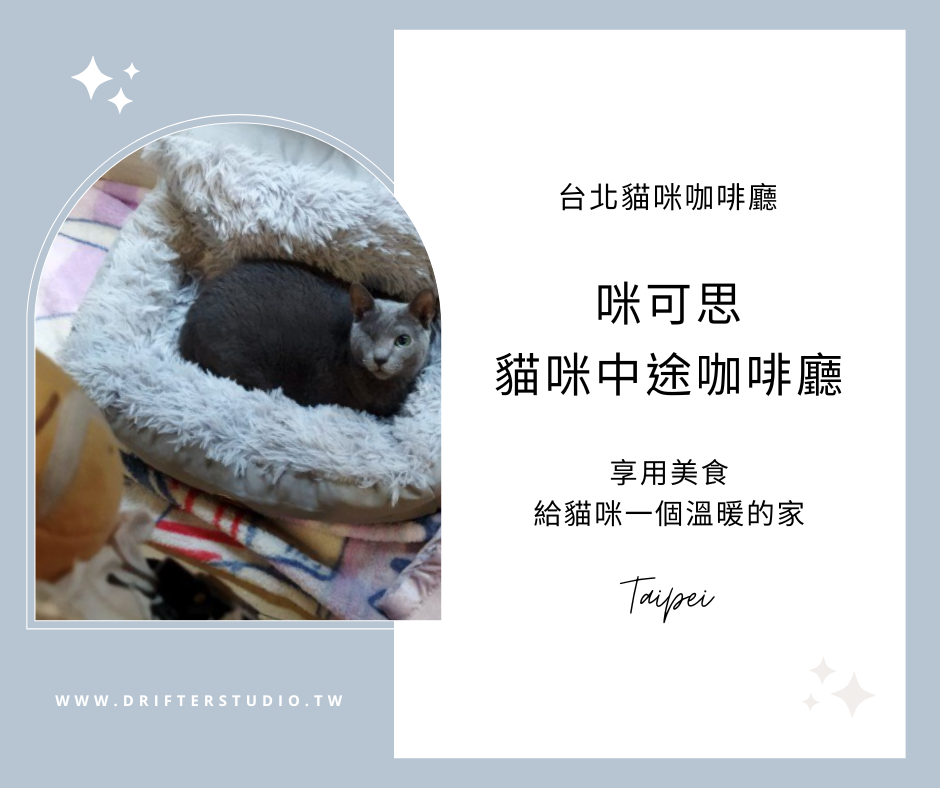 咪可思｜台北三重貓咪咖啡廳推薦，台北三重貓咪認養