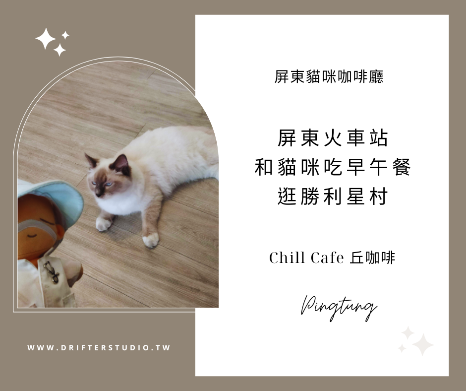 Chill Cafe 丘咖啡，在屏東火車站和可愛貓咪一起吃早午餐喝下午茶~再去逛勝利星村~《屏東貓咪咖啡廳推薦》